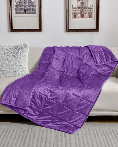 Image of Topblan Weighted Blanket Queen Size 15lbs, Adult Weighted Blankets with Soft Warm Fabric for Sleeping and Calming, Adult Heavy Blanket for Sofa Bed, Purple, 60 x 80 inches