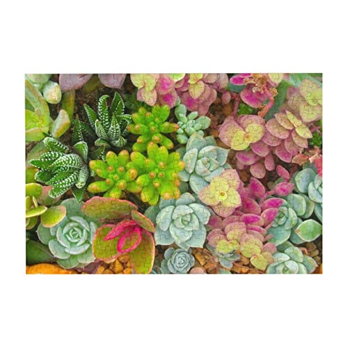 美しい多肉植物 300ピース ジグソーパズル 大人向け難しい 破片なし カチっとハマる 誕生日 おしゃれ インテリア ギフトハウス (38×26cm)