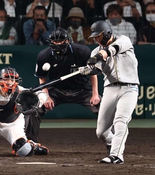 大阪タイガース ユニフォーム （無地） Amazon.co.jp: 阪神 タイガース 大阪 タイガース レプリカ