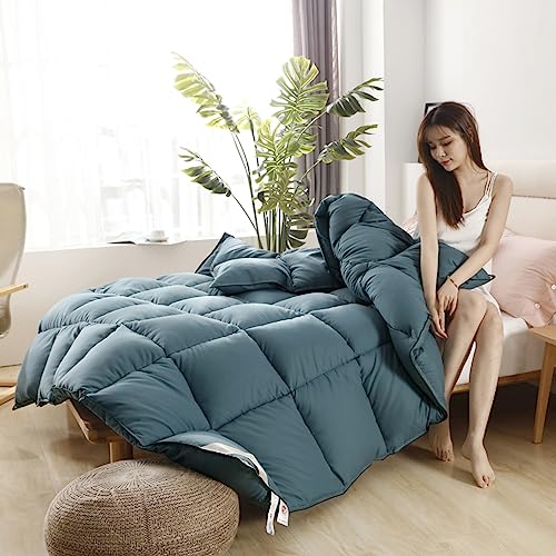 Steppdecke, 160 x 200 cm, waschbar, Gänsedaunen & Ente, gesteppt, warm & bequem, Baumwolle, King Queen Full Size Hotel Daunen Comforter Winter Thick Decke (dicke Decke)