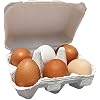 White Half Dozen Blank Egg Cartons 6-Pack Flat Top Half-Dozen Holder, Recyclable Pulp, Ideal for Farm-Fresh Eggs, DIY Custom Labeling, Eco-Friendly Storage - 20 Pack