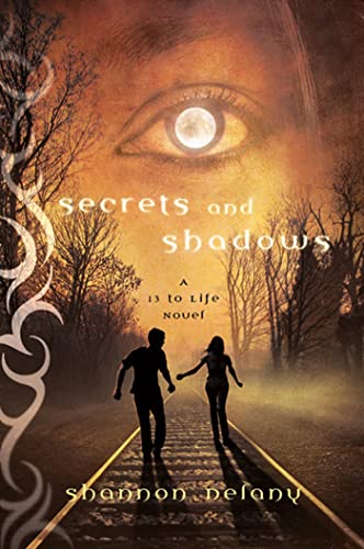 Secrets and Shadows view 2