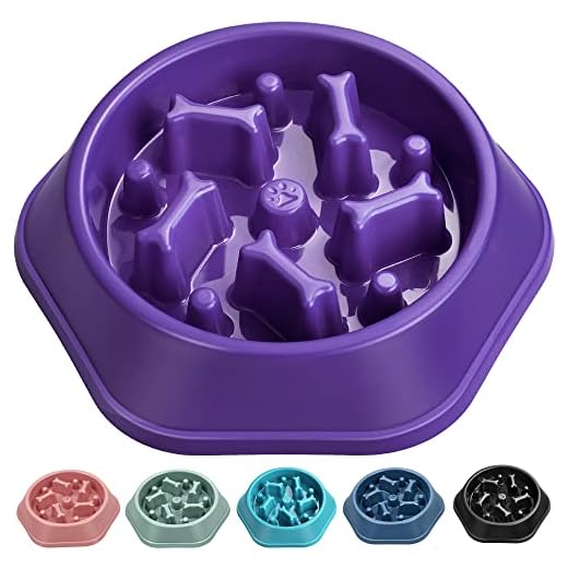 UPSKY Slow Feeder Dog Puzzle Bowl, Interactive Bloat Stop Non-Slide Lick Treat Bowl for Small Medium Dogs (Purple)