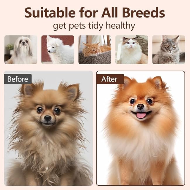 L&W BROS. Steam Grooming Brush for Shedding and Detangling ¨C Self-Cleaning Steamy Pet Brush with Mist Spray for Long-Haired Cats and Small Dogs (White)-VE3zpPM4