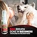 Pet Dental Spray, As Seen on TV, Eliminates Plaque & Tartar, Helps with Plaque and Tartar and Provides Instant Fresh Breath - Includes 3 Months' Supply of Peppermint Spray, 1fl. OZ (30ML)