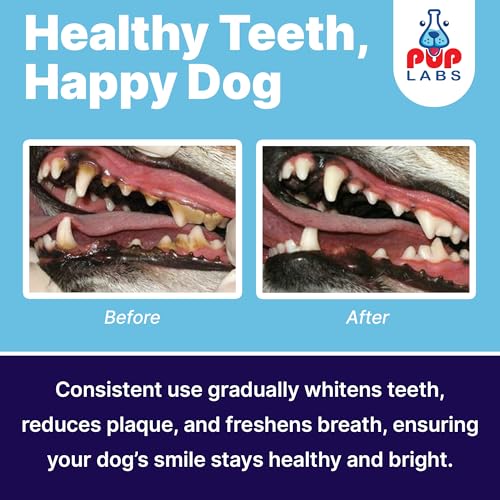 Image of Pup Labs ProDenta, All-Natural Dog Dental Powder for Teeth Cleaning, Dental Powder for Dogs Teeth with Breath Freshener. Easy to use for Tartar Removal and Leaky Gums. Made in USA, 30 Servings