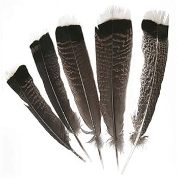 Amazon.com: Zamihalaa Natural Eagle Feathers 25-30cm/10