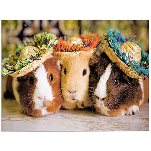 YSCOLOR Diamant Painting Kit – Niedliches Meerschweinchen, 30x40 Cm, Volle Runde Steine