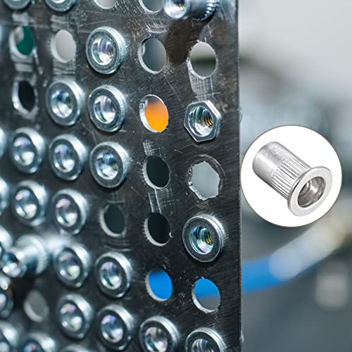 METALLIXITY 20Stk Nietmuttern 1/4-20 Edelstahl Gewinde Stecknüsse Möbelsicherung Silberton