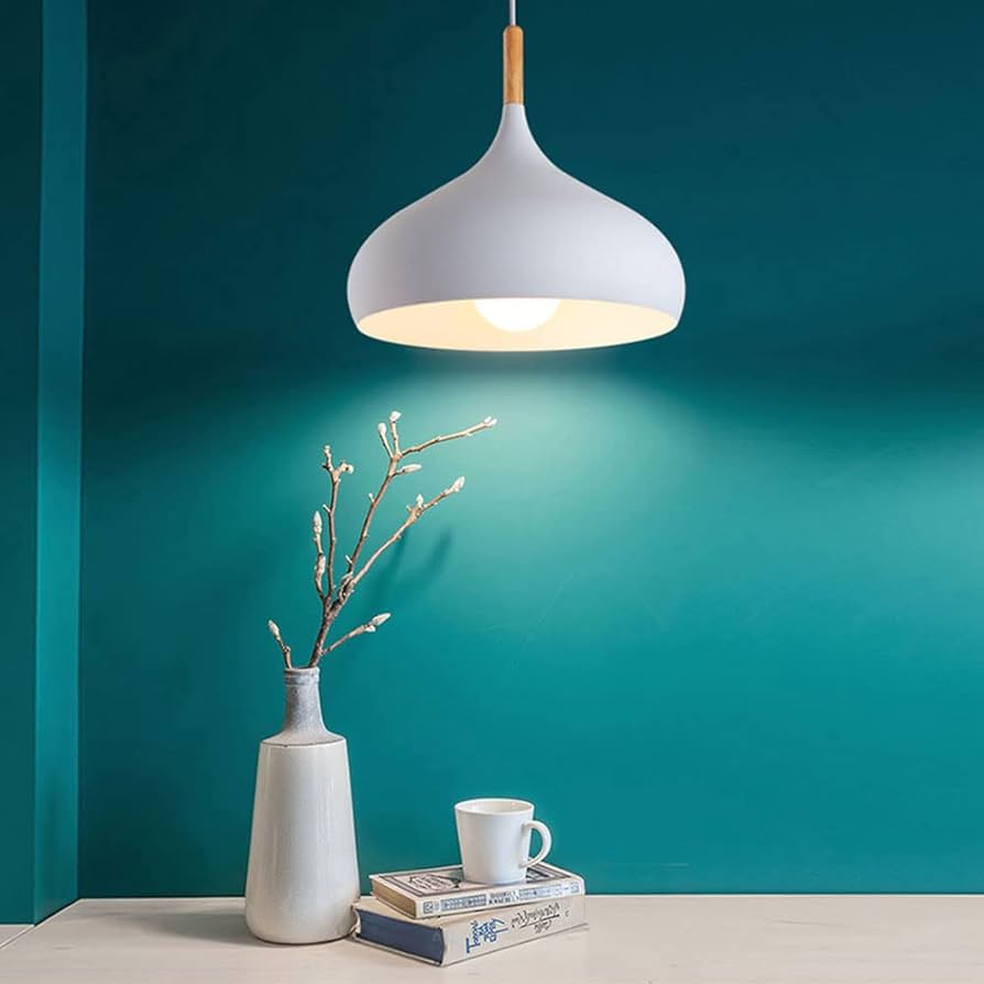 simple♡life Amazon.com: JXINGZI LED Simplicity Pendant Lamp Simple