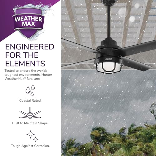 Image of Hunter Searow, Outdoor or Indoor, Ceiling Fan, Quiet, 54 inch, Matte Black