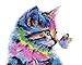 Produktbild WOWDECOR DIY Malen nach Zahlen für Erwachsene Kinder Mädchen, Katze mit Schmetterling Bunt 40x50 cm Vorgedruckt Leinwand-Ölgemälde (Rahmen)