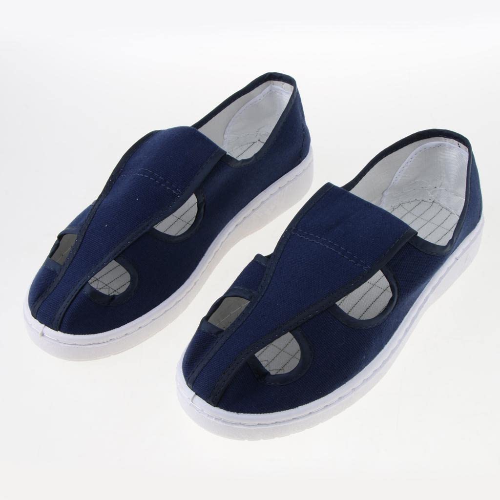 LOOM TREE® ESD Shoes Antistatic Canvas Four Eye Shoes Non-slip PVC Sole EU42 UK8 US8.5 | 1 Pair Anti-Static 4-Hole Canvas Shoes-image-23