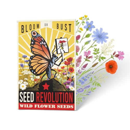 Shade Friendly Wildflower Seeds for Planting UK | Native Gardening Gifts | Grow a Garden | 15 Varieties Native Wild Flower Seeds | Bloom or Bust Meadow Mix | Seed Revolution (Pack of 1 (4g))