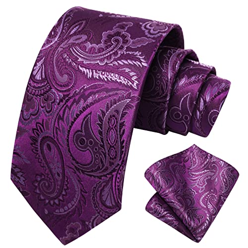 Image of HISDERN Ties for Men Paisley Tie and Pocket Square Woven Classic Floral Mens Ties Handkerchief Set Wedding Party Necktie
