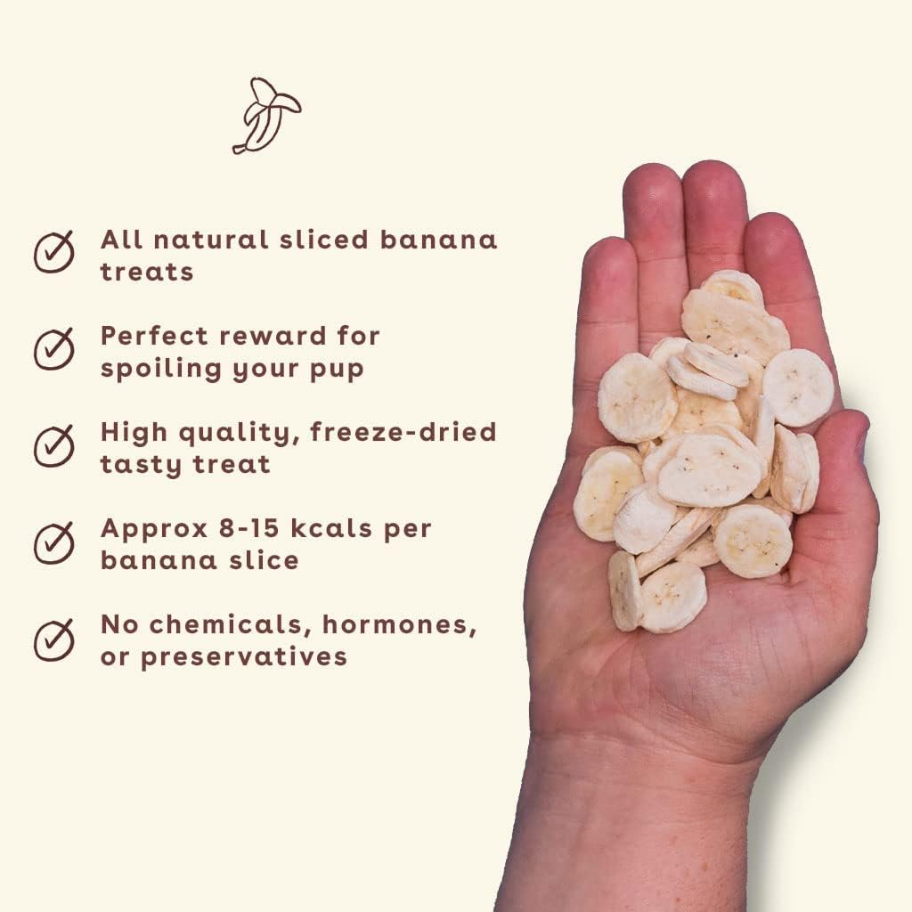 Pupford Freeze Dried Training Treats for Dogs & Puppies, 1000+ Limited Ingredient Bites (Fruits & Veggie Bundle)