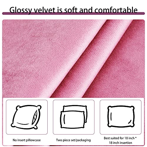 Pillow Covers, 2 Pack Velvet Throw Pillows Covers 18X18 Inch Decorate Pillows Covers Set Of 2 Comfortable Square Pillowcase For Solid Cushion Case Sofa Bedroom, Soft Pillow Covers (Pink, 18 X 18Inch) #TOP4
