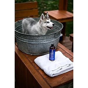 RX4-Dog-Cat-Shampoo-Conditioner-Naturally-Organic-Oatmeal-Aloe-Puppy-Treatment-Supplies-Relief-for-Smelly-Pets-Dry-Itchy-Skin-No-More-Scratching16oz - Cucciolini Doodles   RX4-Dog-Cat-Shampoo-Conditioner-Naturally-Organic-Oatmeal-Aloe-Puppy-Treatment-Supplies-Relief-for-Smelly-Pets-Dry-Itchy-Skin-No-More-Scratching16oz