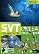 Download SVT Cycle 4 PDF