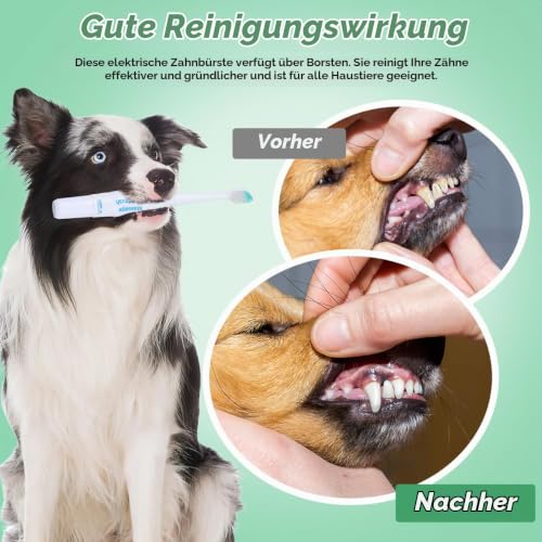 POPETPOP Elektrische Hundezahnbürste 7,48 Zoll – Ultraschall Zahnpflege für Plaque-Entfernung – Leicht & Tragbar für Hunde und Katzen zu Hause oder Unterwegs