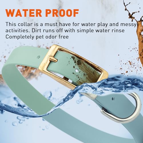 Image of Viper Biothane Heavy Duty Waterproof Dog Collar Strong Coated Nylon Webbing w /Solid Brass Hardware Odor-Proof Easy to Clean High Performance Fits Small Medium or Large Dogs, Sage Green