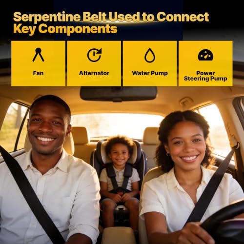 Image of 12669858 Serpentine Drive Belt with Chevy Silverado Suburban Tahoe