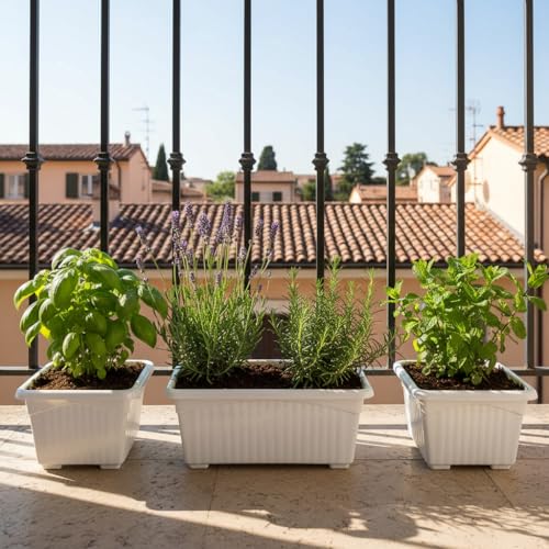 Image of Go Hooked Rectangular Plastic Pots for Plants, Jupiter Flower Pots for Home, Window Display, Garden (Set of 3, White) (35 x 18.5 x 15 cm)