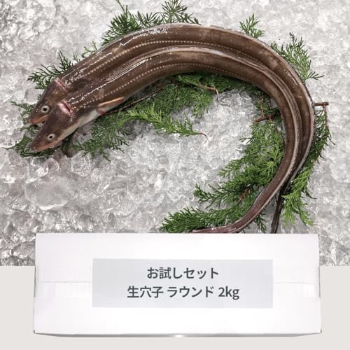 ΔnY Δnqv~A Hp qEhi300-400gj8  q Ⓚ Y Ɩp AiS qʔ Ȃ ⓀAiS