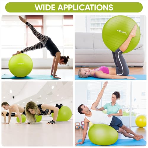 Image of APEXUP Yoga Ball, 660 lbs Anti-Burst Exercise Ball with Pump, 5 Sizes