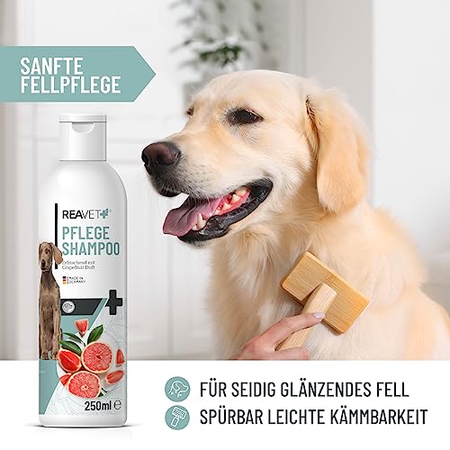 ReaVET Hundeshampoo mit Grapefruit 250ml - Pflegeshampoo Kokos für Hunde, Vitale Haut, Fellglanz, Kämmbarkeit, Shampoo Hund, natürliche Inhaltsstoffe