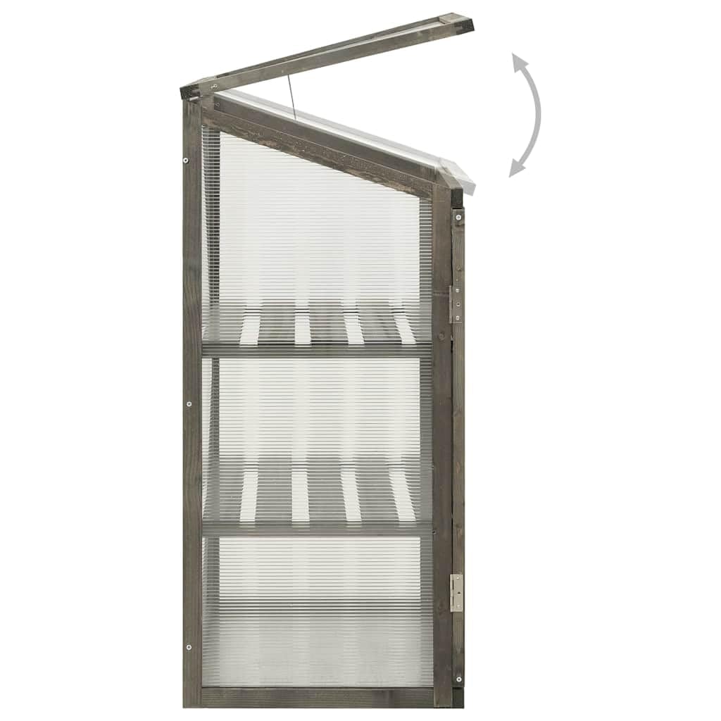 Gewächshaus Tannenholz 60x45x100 cm mit PC-Platten, 2 Regale, Klappdeckel, Fenster, Tür, ideal für Pflanzenzucht, Gemüse, Kräuter, Blumen, Tomate, Gurke, Salat