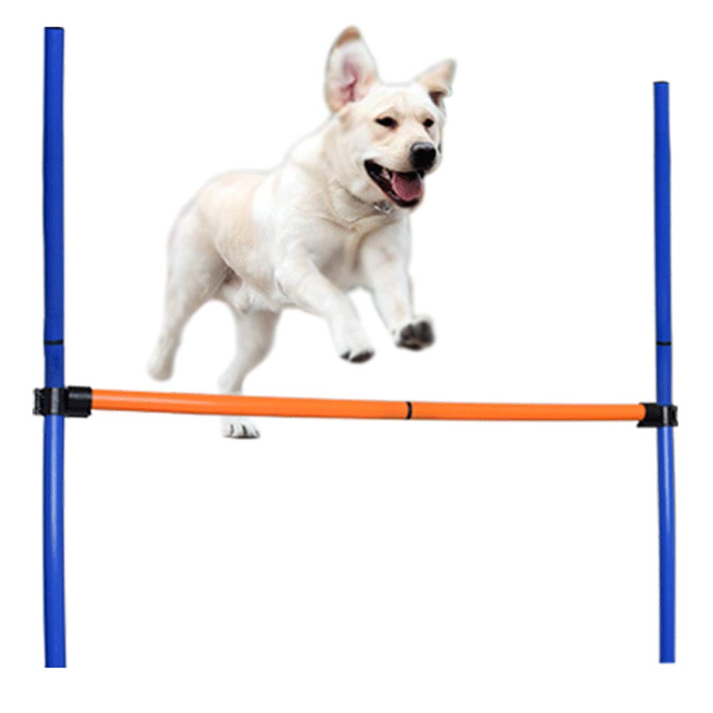 Giochi all'aperto per animali domestici Agilità del cane Attrezzatura per l'allenamento dell'esercizio Agility Starter Kit Gioco del cane Corsa Salto Set di allenamento per l'obbedienza Hoop Hurdle