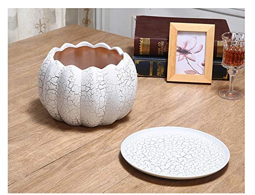 do użytku wewnątrz lub na zewnątrz doniczka ceramiczna duży rozmiar z tacą prosta i kreatywna mała doniczka na sukulenty doniczka dekoracyjny pojemnik na rośliny ogrodowe domowa donica doniczkowa