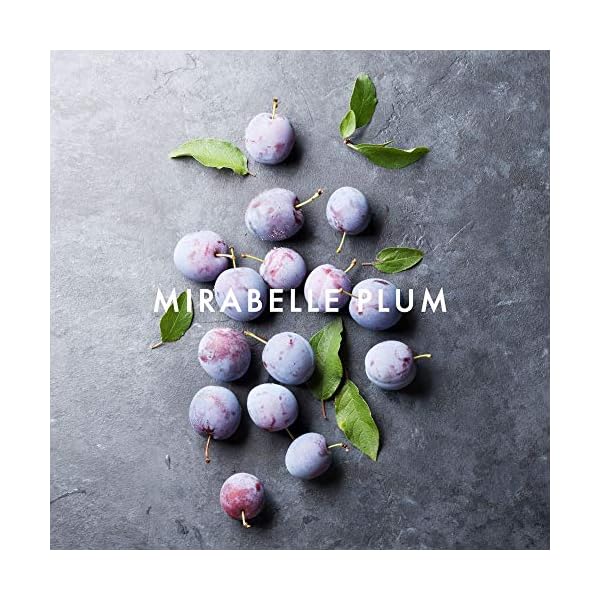 Alfred Sung FOREVER Eau De Perfume Spray, Perfume for Women 4.2oz