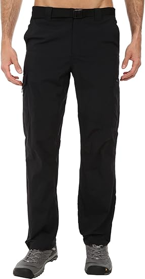 Columbia Men's Silver Ridge Cargo Pant