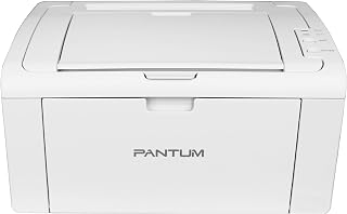 Pantum P2509W Wireless Laser Printer Home Office Use,Grey Printer with Mobile Printing