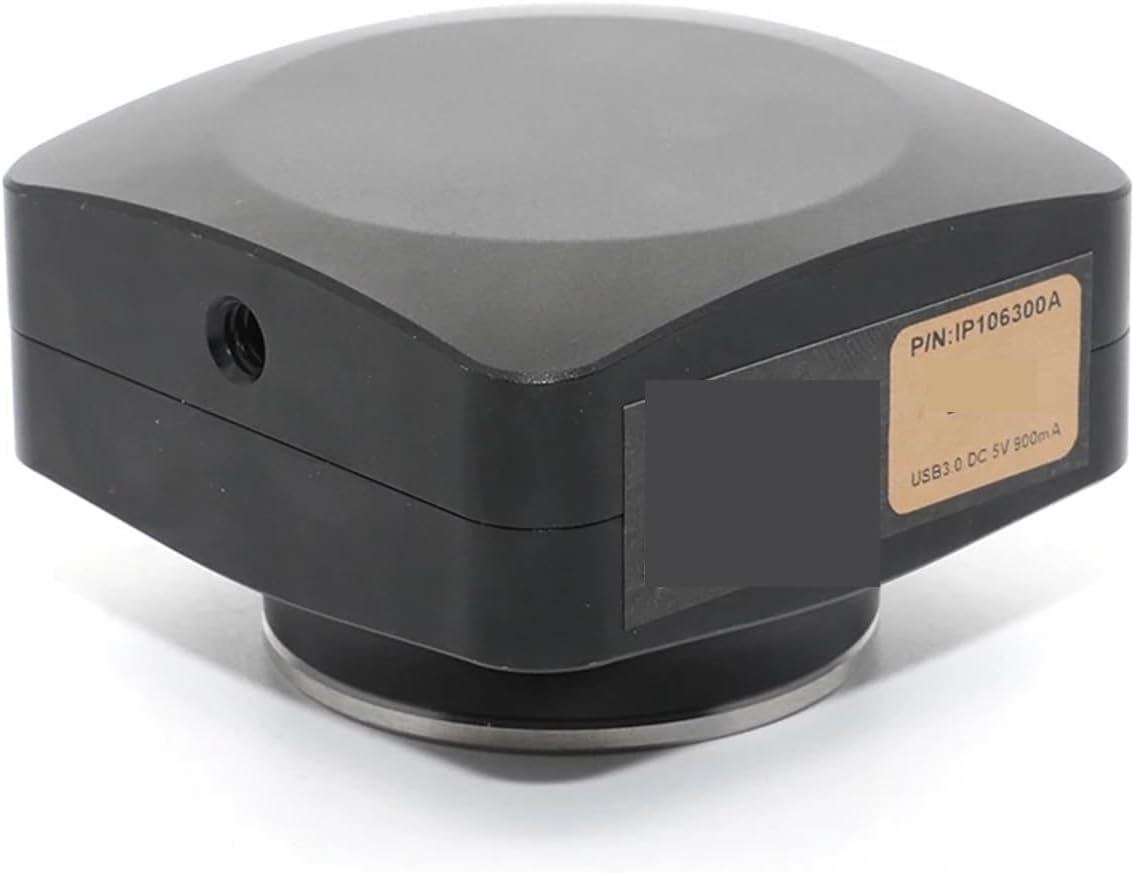 BLASTRACK（ブラストラック） ELIXIR(エリキサー)169 ケース付