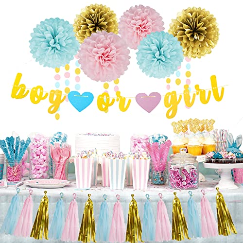 Image of Gender Reveal Decorations Blue Pink - 23pcs Tissue Paper Flowers Pom Poms Boy Or Girl Banner Tassel Garland Streamers Baby Party Supplies Gender Reveal Theme Gold Hanging Decor Ideas