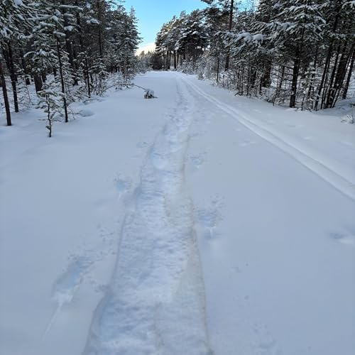 Juleshow 2025 Titelbild