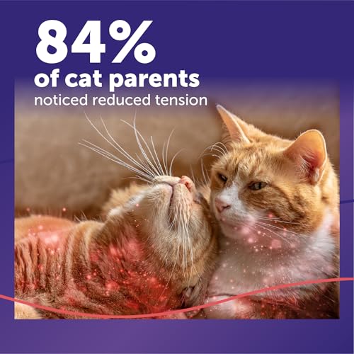 FELIWAY MultiCat Cat Calming Diffuser Refill (1 Pack, 30 Day Supply ) – Helps Reduce Fighting, Tension & Aggression Between Cats – Cat Pheromone Diffuser Refill for Multi‑Cat Homes by FELIWAY - Image 3