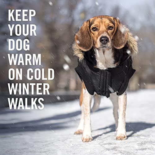 Canada Pooch | North Pole Parka (14+ (13-15" Back Length, With A Relaxed Fit), Black) #TOP1