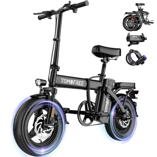 750W Folding Electric Bike, 48V 20AH Large Removable Battery E