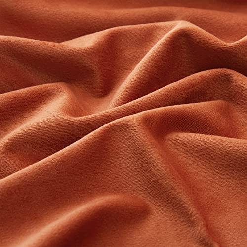 Top Finel Burnt Orange Spring Decorative Square Throw Pillow Covers 20 X 20 Inch Minimalist Soft Particles Velvet Solid Rust Plain Cushion Covers For Couch Bedroom Car Fall 50 X 50 Cm,Pack Of 2 #TOP2