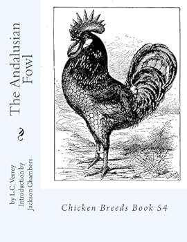The Andalusian Fowl