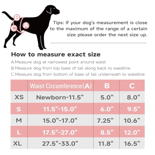 Image of Paw Legend Washable Reusable Female Dog Period Diapers for Heat Doggie Puppy Diapers for Female Dogs (3 Pack,X-Small)