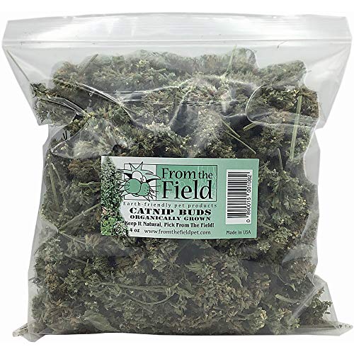from The Field | Premium Whole Catnip Buds for Cats | Organic, USA-Grown, Fresh & Potent | Natural, Eco-Friendly Cat Treat for Play & Relaxation | Catnip for Indoor Cats | Resealable 4 OZ Bag