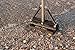 Sure Foot All-Terrain Cane