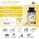 Garcinia Cambogia - 60% natürlichem hochdosiertem HCA - Reich an Calcium, Eisen und Vit. C von Natur aus - Dr. med. Michalzik - ohne Zusatzstoffe - von BIOTIKON®