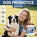 SnazFirst Probiotics for Dogs, Dog Probiotics Chews for Digestive Health & Gut Health, Improve Immune System,Constipation & Diarrhea Relief(Chicken Flavor, 150 Chews)