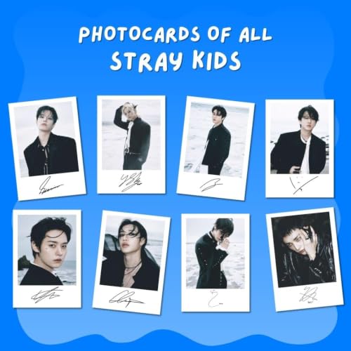 Image of Funk You Store Posters Cards Kit (Set of 15) | Anime Berserk Mini Posters Collage Kit Mini Poster Size (8 x 6 cm) Poster for Phone Accessories, Bedroom, Office, Living room, Dorm room (Stray)